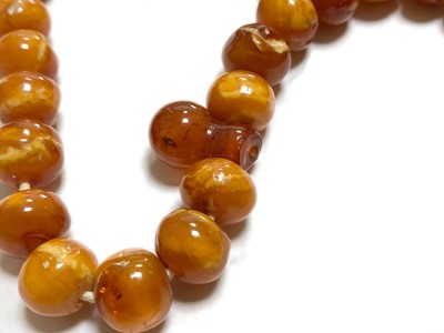 Lot 27 - A single row slightly graduated butterscotch amber prayer bead necklace
