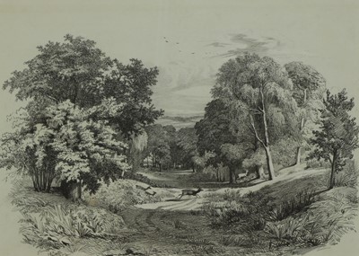 Lot 309 - Samuel John Carter (1835-1892)