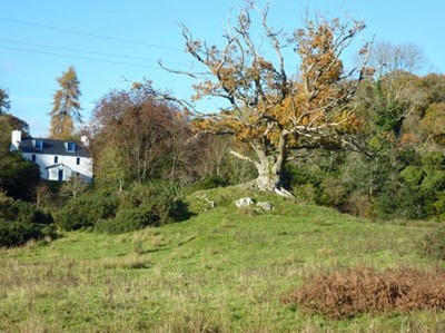 Lot 16 - Little Boreland Holiday Home, SW Scotland (Dumfries & Galloway)