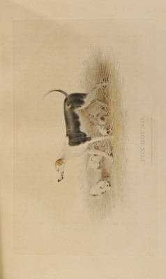 Lot 81 - Daniel, W B