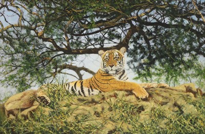 Lot 248 - Stephen Park (b.1962)