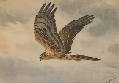 Lot 189 - John Cyril Harrison (1898-1985)