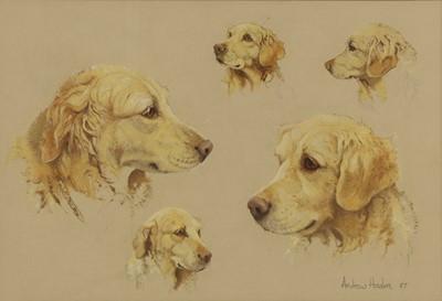 Lot 243 - Andrew Haslen (b.1953)