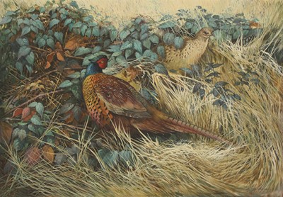 Lot 149 - Berrisford Hill (b.1930)