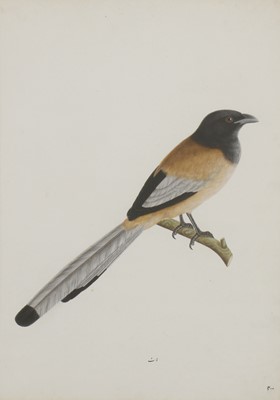 Lot 132 - Calcutta School, c.1800