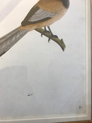 Lot 132 - Calcutta School, c.1800