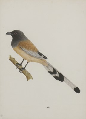 Lot 132 - Calcutta School, c.1800