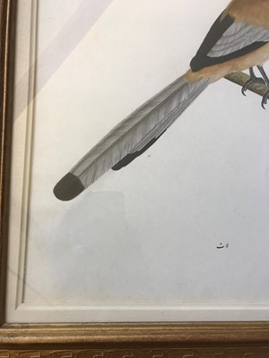 Lot 132 - Calcutta School, c.1800