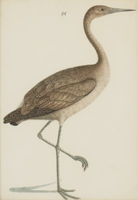 Lot 165 - Calcutta School c.1800