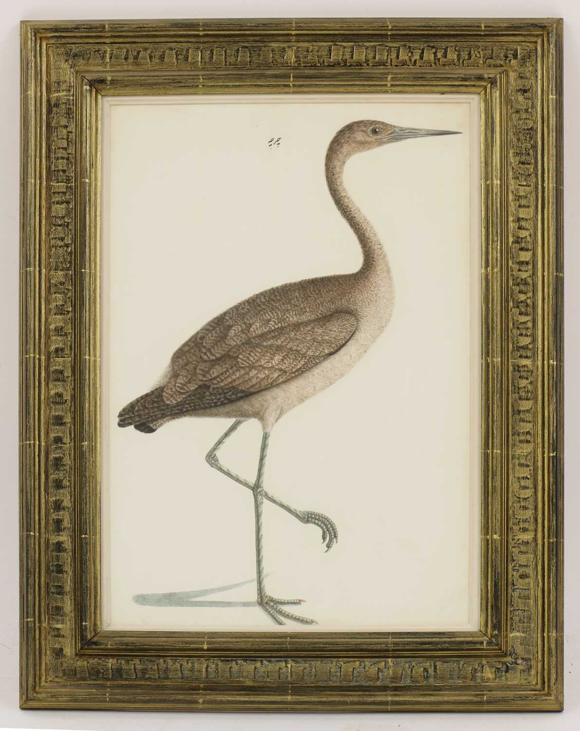 Lot 165 - Calcutta School c.1800