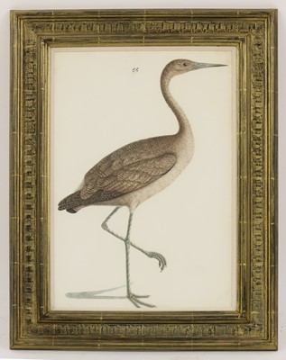 Lot 165 - Calcutta School c.1800
