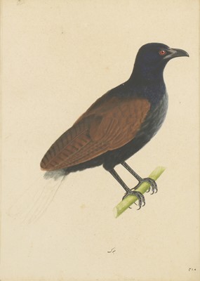 Lot 166 - Calcutta School, c.1800