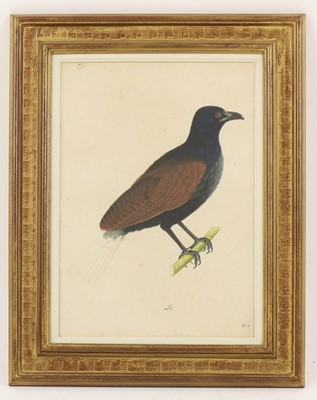 Lot 166 - Calcutta School, c.1800
