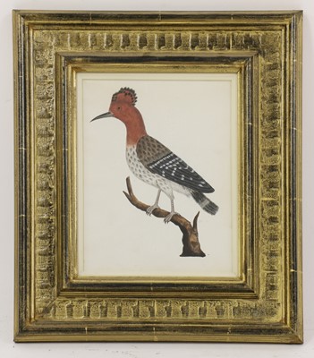 Lot 162 - Company School, 19th century