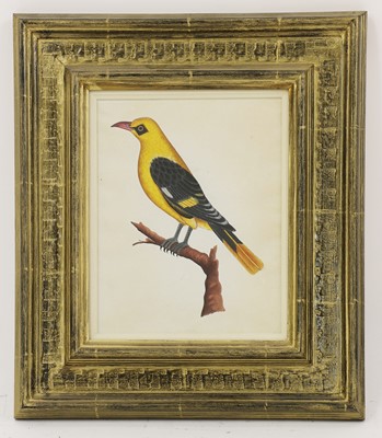 Lot 164 - Company School, 19th century