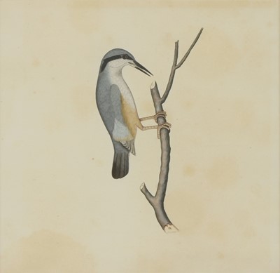 Lot 168 - Company School, 19th century