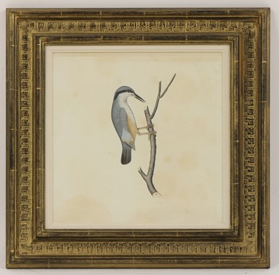 Lot 168 - Company School, 19th century