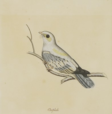 Lot 168 - Company School, 19th century