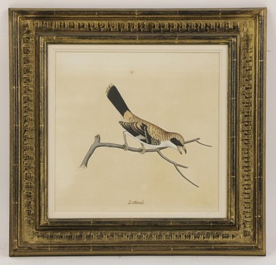Lot 168 - Company School, 19th century
