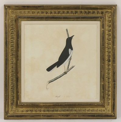 Lot 168 - Company School, 19th century