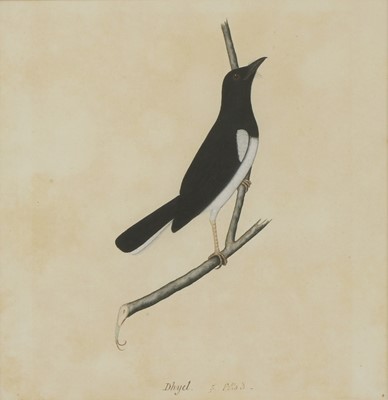 Lot 168 - Company School, 19th century