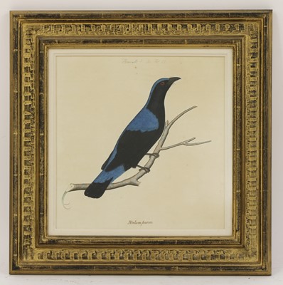 Lot 169 - Company School, 19th century