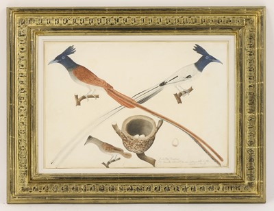 Lot 167 - Company School, 19th century