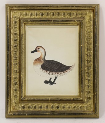 Lot 152 - Company School, 19th century