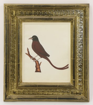 Lot 148 - Company School, 19th century