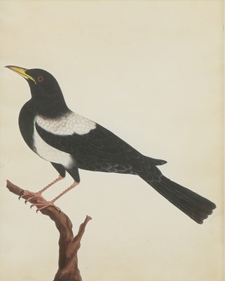 Lot 148 - Company School, 19th century