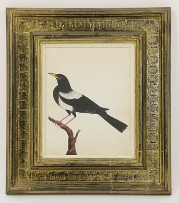 Lot 148 - Company School, 19th century