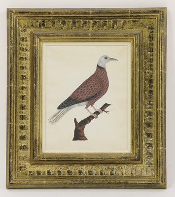 Lot 148 - Company School, 19th century