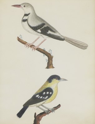 Lot 148 - Company School, 19th century