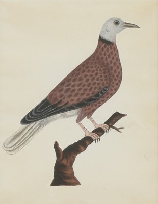 Lot 148 - Company School, 19th century