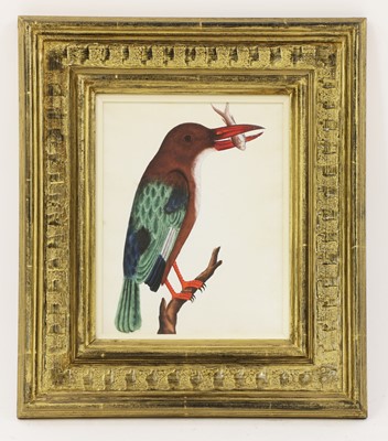Lot 149 - Company School, 19th century