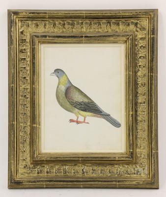 Lot 171 - Company School, 19th century