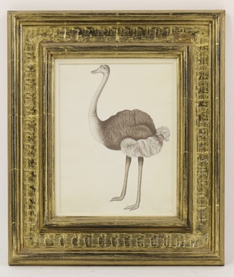 Lot 136 - Company School, 19th century