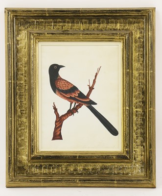 Lot 137 - Company School, 19th century
