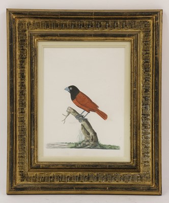 Lot 135 - Company School, 19th century