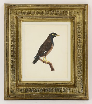 Lot 134 - Company School, 19th century