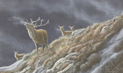 Lot 305 - Jeremy Paul (b.1954)