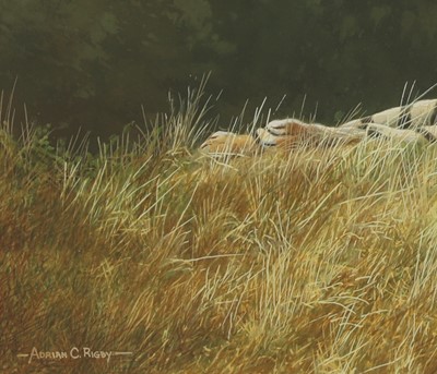 Lot 333 - Adrian C Rigby (b.1962)