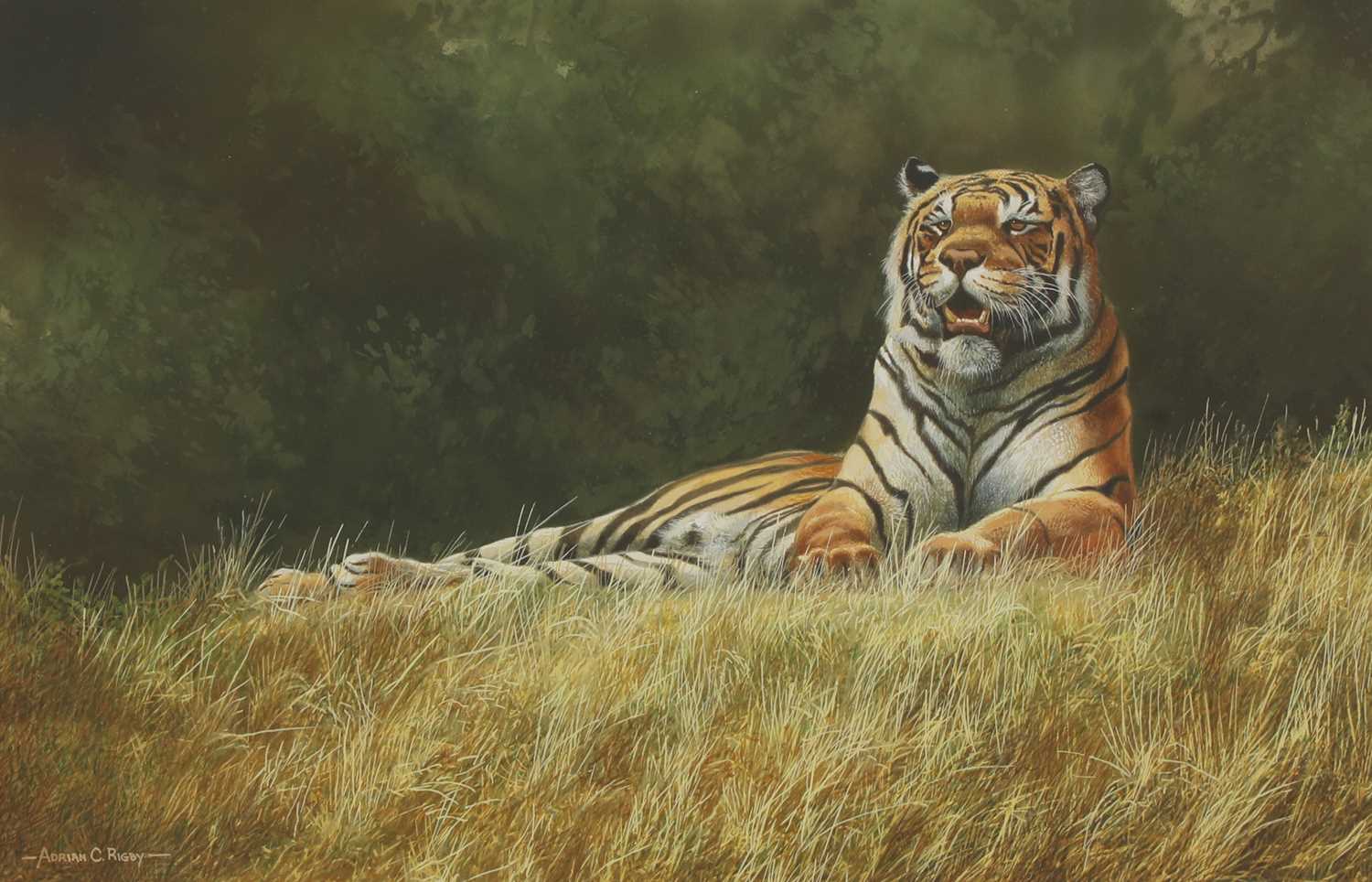 Lot 333 - Adrian C Rigby (b.1962)