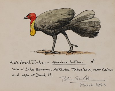 Lot 181 - Sir Peter Markham Scott (1909-1989)