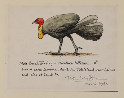 Lot 181 - Sir Peter Markham Scott (1909-1989)