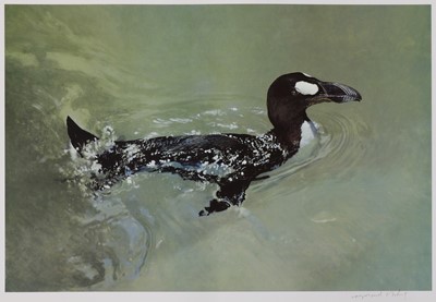 Lot 167 - Raymond Harris-Ching (New Zealander, b.1939)
