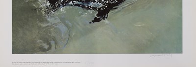 Lot 167 - Raymond Harris-Ching (New Zealander, b.1939)