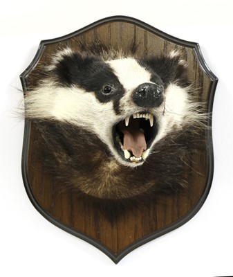 Lot 118 - Taxidermy: a badger mask