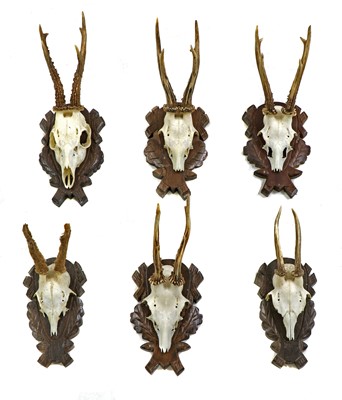 Lot 112 - Six German roebuck deer antlers