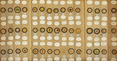 Lot 296A - A collection of 112 microscope slides